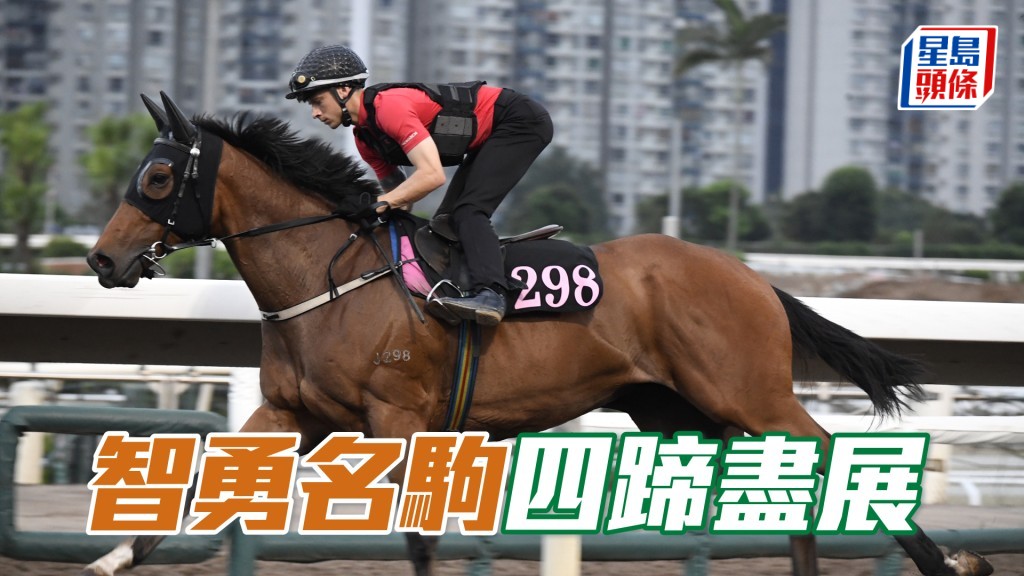 「智勇名駒」身壯呈現條線美，勇況保持有餘。