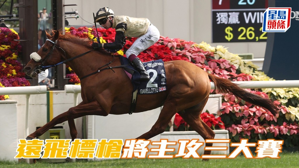 馬場浮世繪｜「遠飛標槍」將主攻三大賽