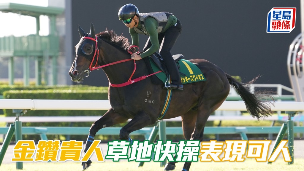「金鑽貴人」草地快操，備戰短途馬錦標表現可人。