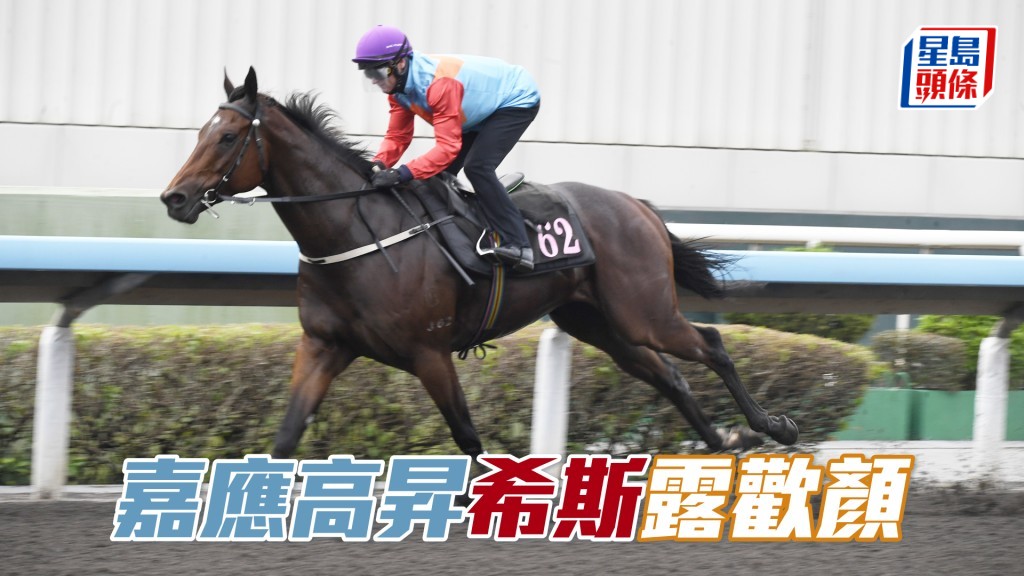 「嘉應高昇」出跳後，希斯不時笑容滿面，應相當滿意馬王狀態。