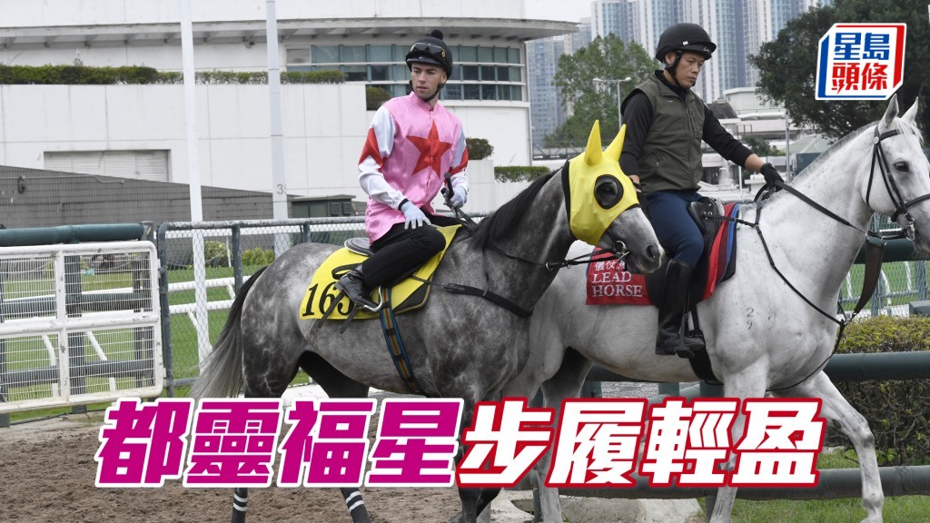 「都靈福星」大半程岳高頭走，充滿朝氣精神爽利。