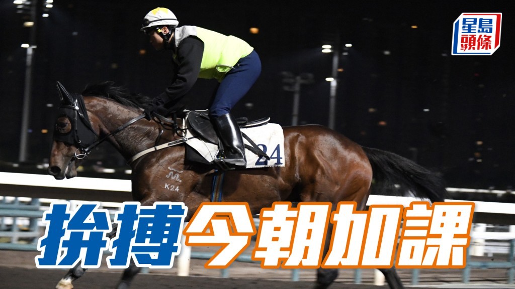 「拚搏」今朝再於沙田馬場補課，加強操練，為明晚快活谷之戰做好準備。