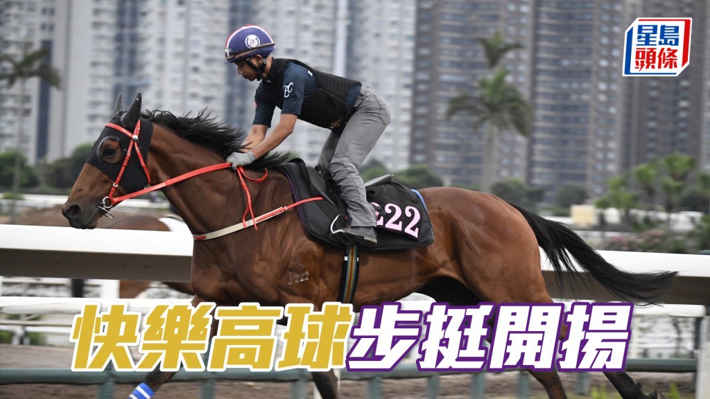 「快樂高球」馬身札實神態對辦，毛色亮麗悅目。