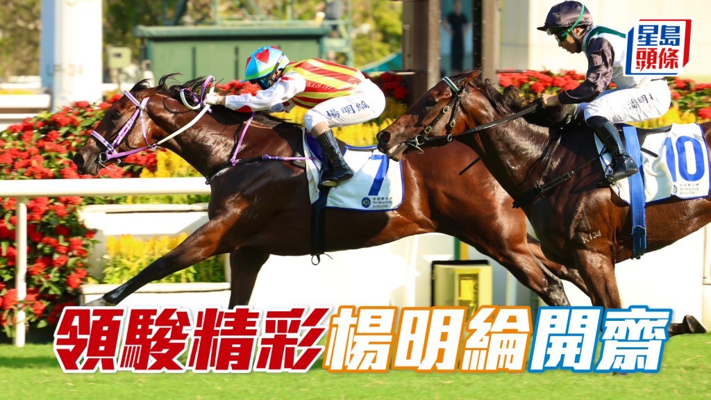 「领骏精彩」杨明纶开斋