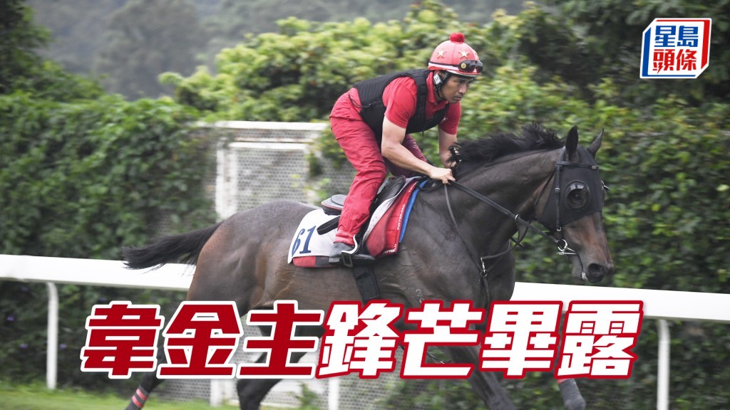 「韦金主」毛色鲜明润泽，落脚整齐走势又硬净。