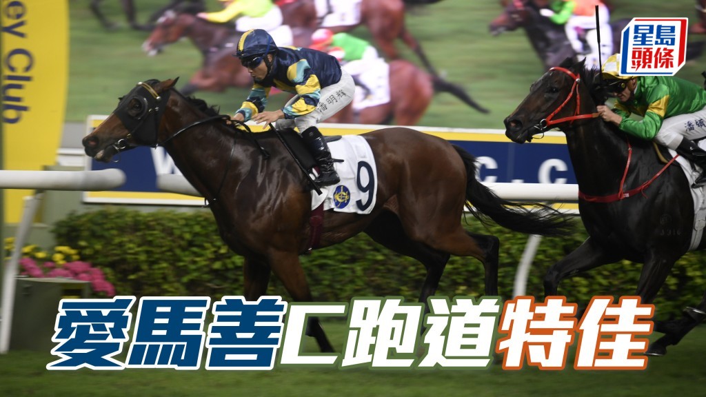 楊駿數據｜「愛馬善」C跑道特佳