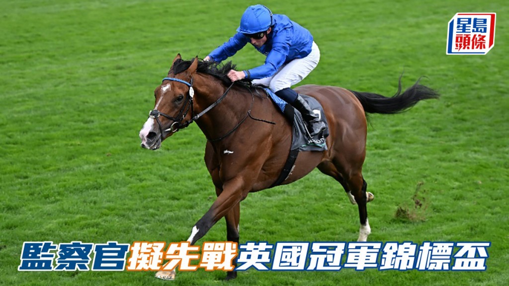 馬場浮世繪｜「監察官」下仗目標未定 擬先戰英國冠軍錦標再遠征育馬者盃   相片來源：Focus on racing