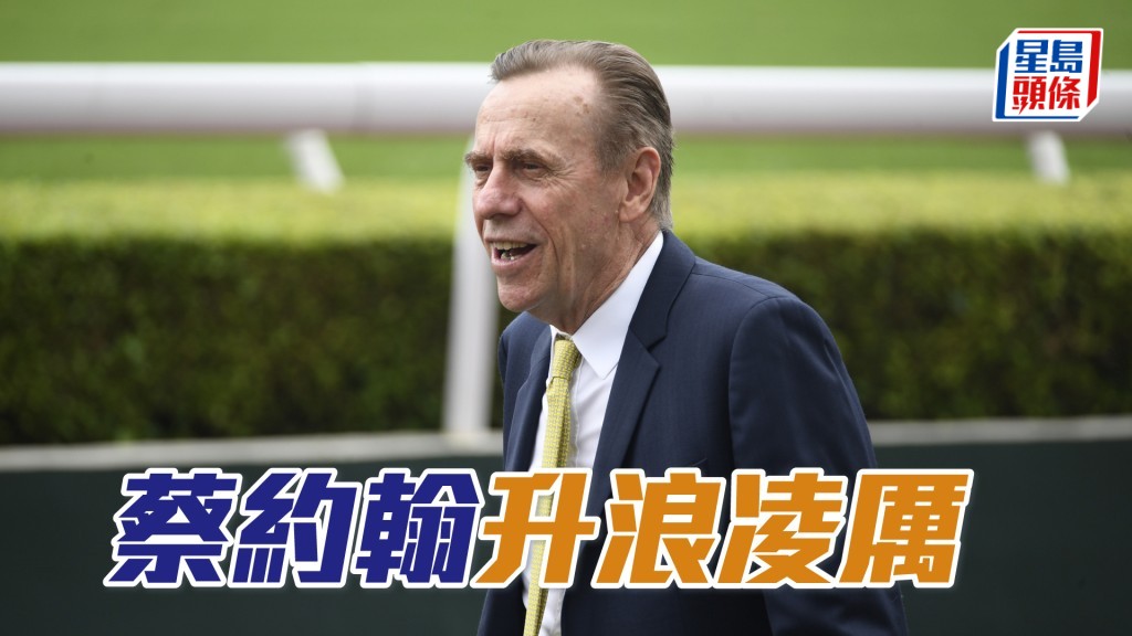 蔡廄頭馬數目已急增至十五場。