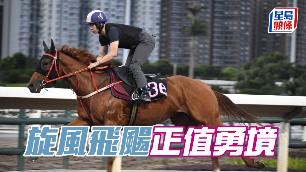 「旋風飛颺」步挺順暢力度充沛，相當吸引。