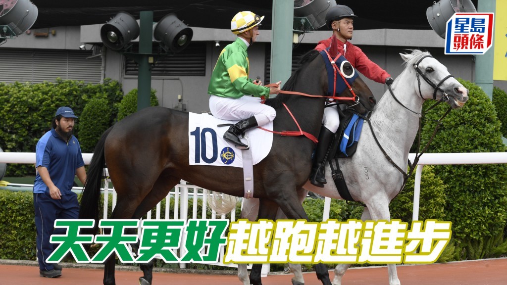  「天天更好」元旦日將出戰第六場四班千四米。