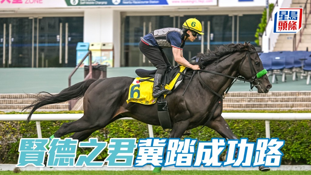 「贤德之君」在沙田操练备战浪琴香港短途锦标。