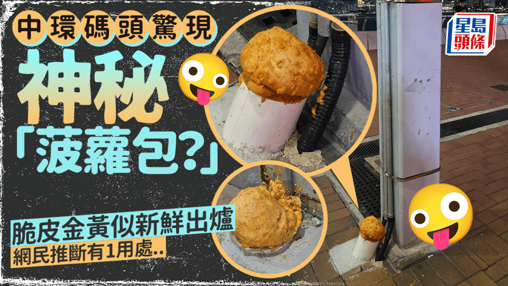 中環碼頭驚現神秘「菠蘿包」?網民笑稱是「菠蘿包採集處」 神人解答推斷為1用處