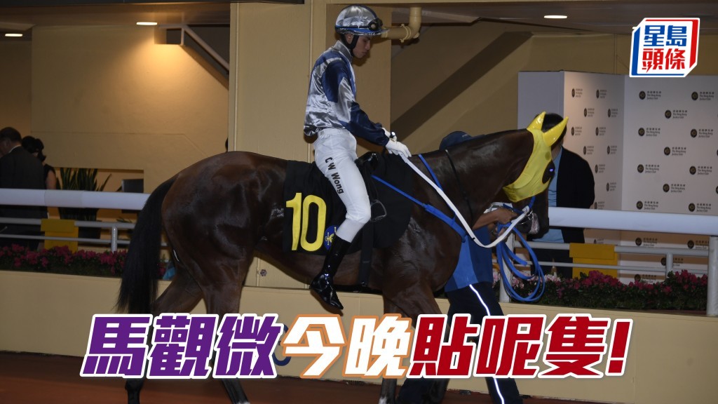 「銀刺勇士」順放智妙