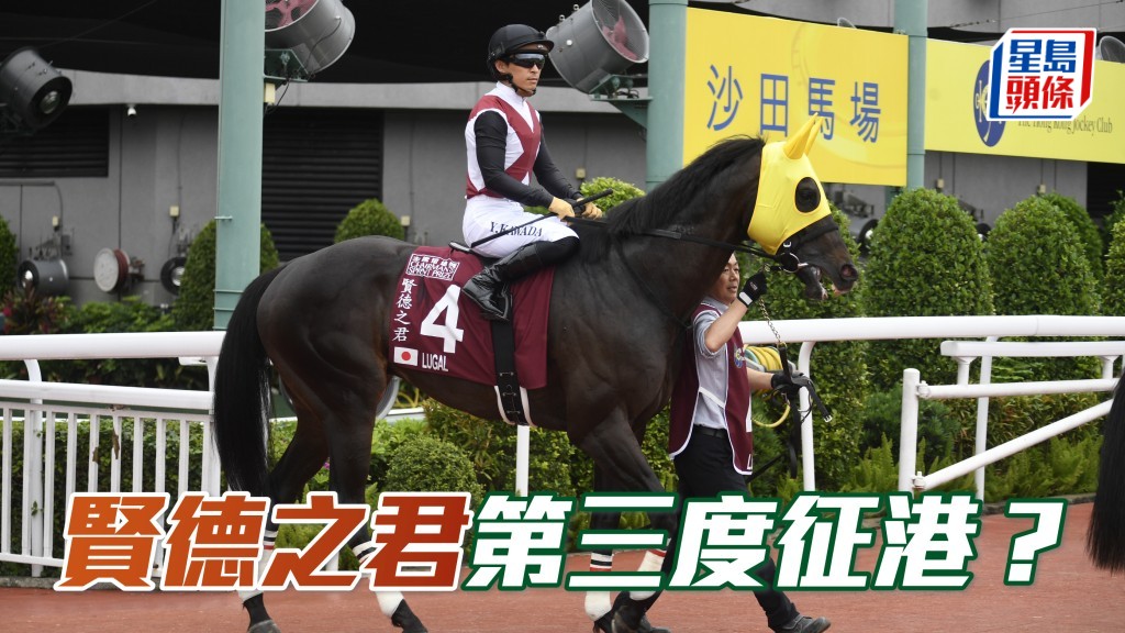 「賢德之君」已報名參加十二月十四日沙田馬場舉行的香港短途錦標，目前只待香港賽馬會正式邀請，便會落實出賽。