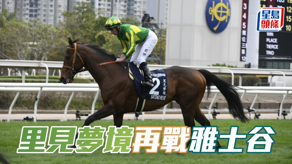 马场浮世绘｜「里见梦境」再战雅士谷