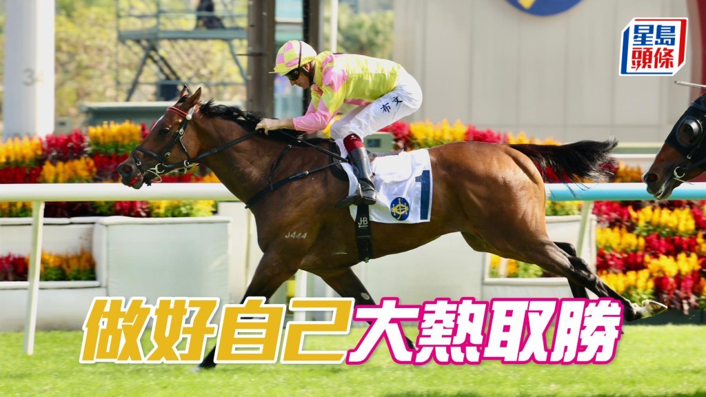 「做好自己」大熱取勝