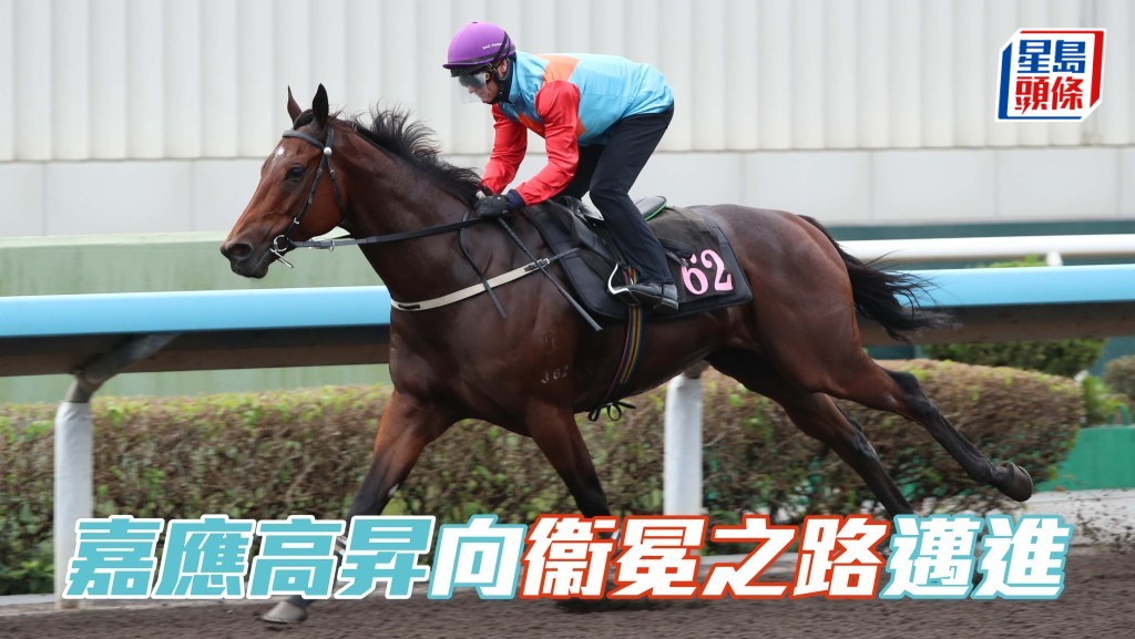 「嘉應高昇」試閘表現佳續，向衛冕浪琴香港短途錦標之路邁進。