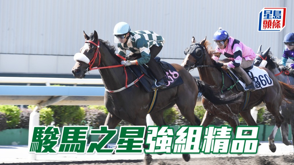「駿馬之星」上仗被對手壓迫仍追回第五，足證狀態仍勇。