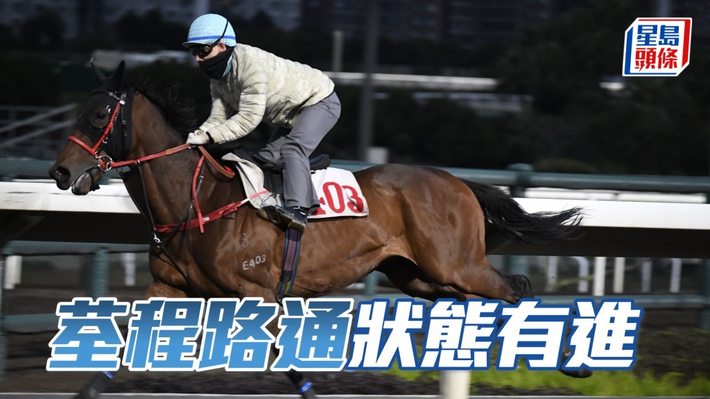 「荃程路通」暗火展現身又靚，唞夠操足之馬，狀態有進無退。
