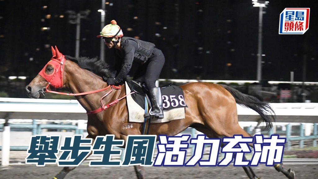 「舉步生風」雙耳烔烔目光銳利，持續勇銳無疲態。