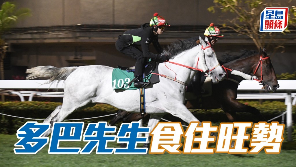 當旺馬主羅琪茵和其丈夫莊友堅的團體馬「多巴先生」(圖) ，周三晚出戰第三場三班二千二百米，且看能否食住旺勢。