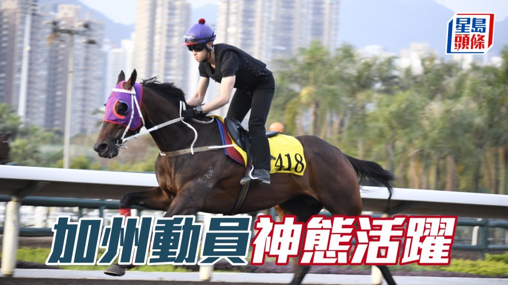 「加州動員」步姿爽朗彈力充足，長期呈勇。