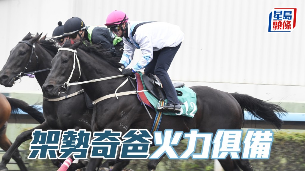 「架勢奇爸」昂首闊步神氣十足，充滿好感。