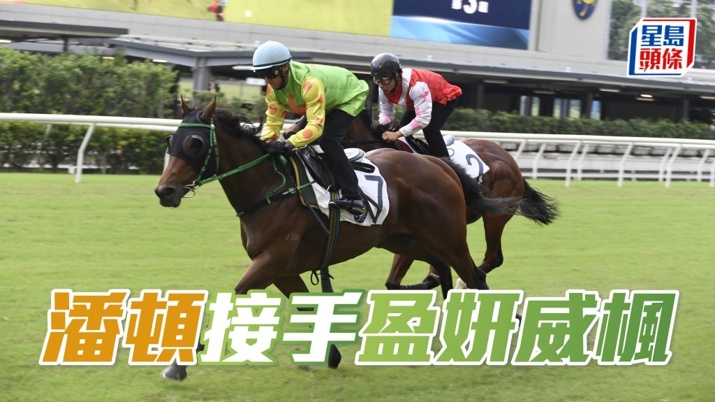 潘頓周末將夥拍「盈妍威楓」上陣。