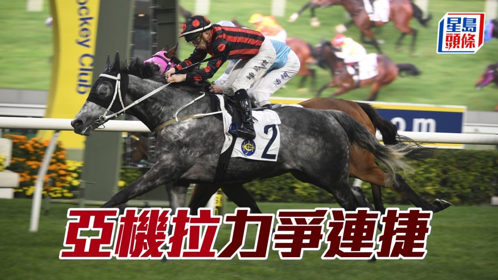 「亞機拉」仍在進步中，今仗可繼續交出好成績。