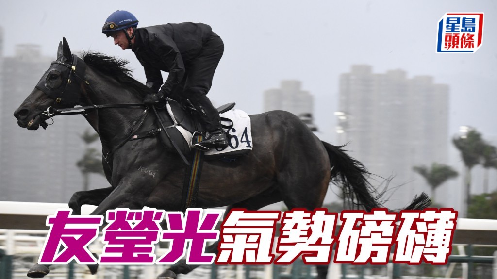 內圈捕影│「友瑩光」氣勢磅礡