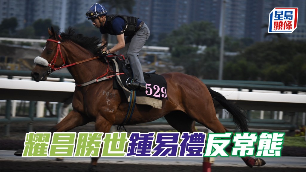 鍾易禮六點到場立即為「耀昌勝世」(圖) 出試,之後耙地走到烽火台搵葉楚航匯報,而小鍾過往好少有這個舉動。