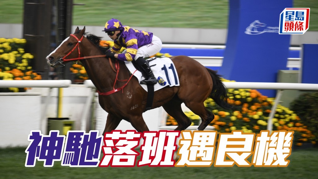 「神馳」重返三班遇上今場是偏弱組別，分量十足，而且晨課表現長期勇銳，必須把握機會再入凱旋門。