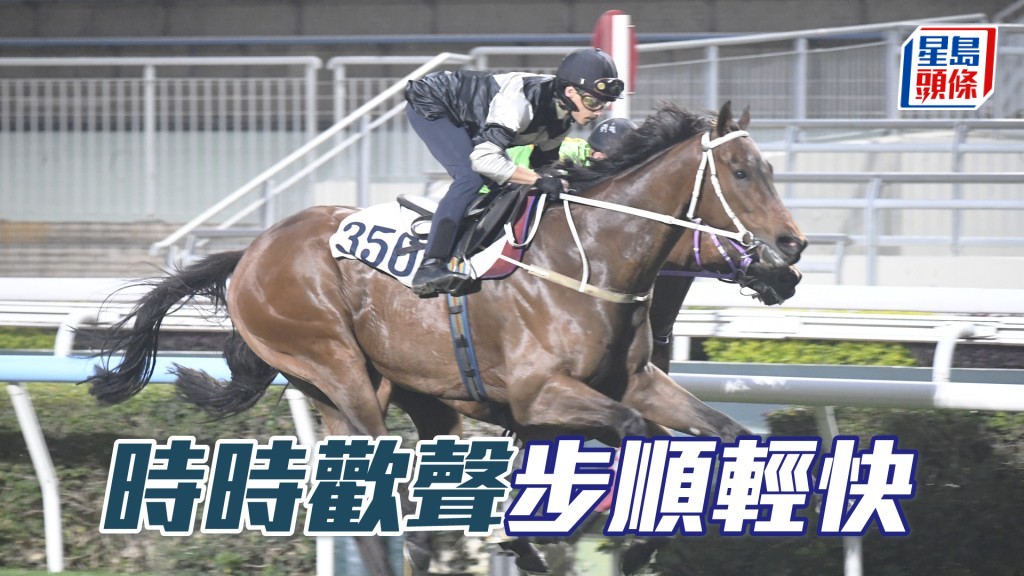 「时时欢声」马身收壮毛色又靓，伤愈对办勇况已备。