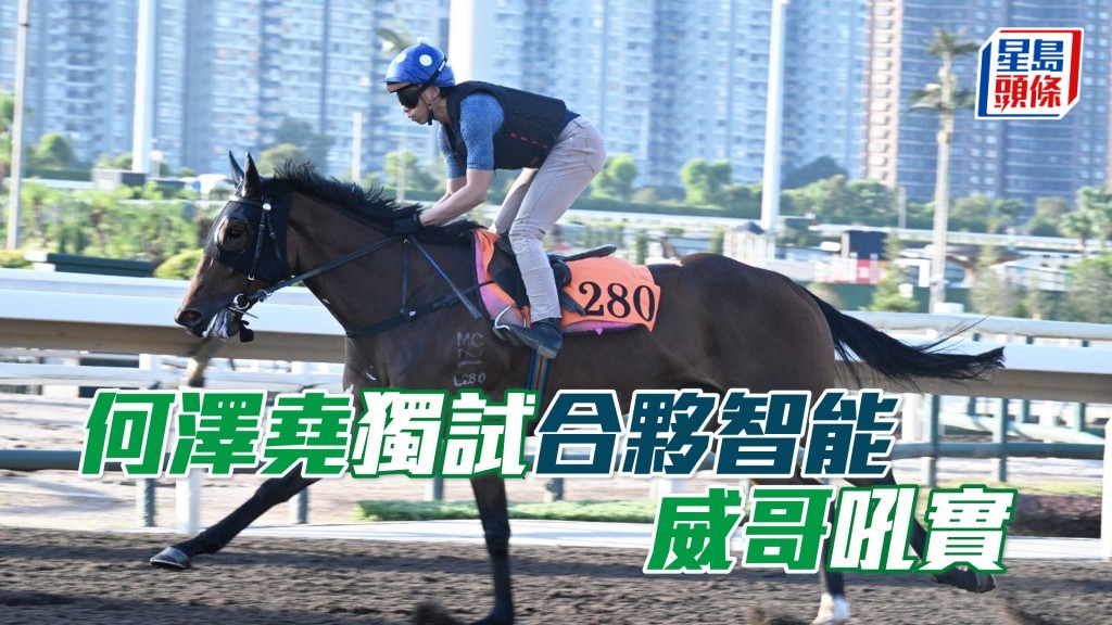 「合夥智能」