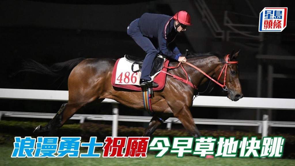 今早(1月20日)沙田舉行試閘前，一對明星馬 「浪漫勇士」(圖) 及「祝願」在草地快跳，頓成今早晨操焦點。