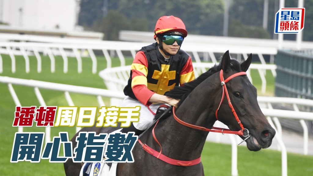 周日「開心指數」帥權將落在潘頓手中。