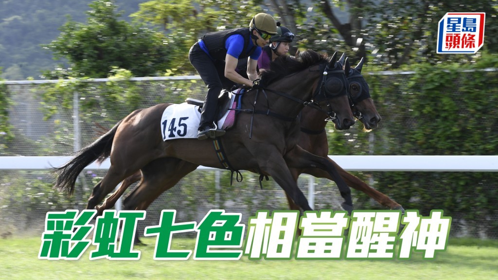 「彩虹七色」神色活躍出腳爽勁，馬身亦靚過之前。