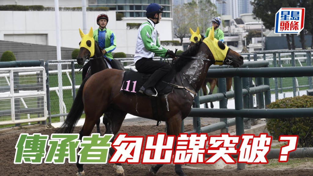 「傳承者」(圖) 上周於谷草一哩賽得第四，今戰隔七日再出，轉場增程千八米，成績如何？