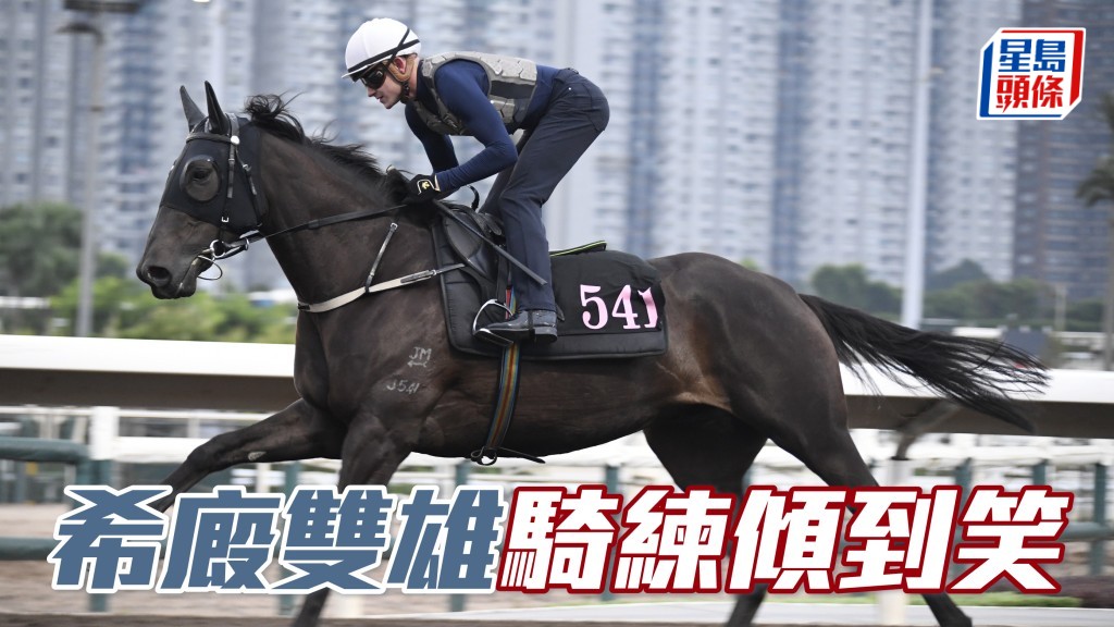 「古惑大師」(圖) 同「禾道威」今朝耙地後交由霍宏聲和艾道拿出跳，課後希斯接馬捉住兩好手開會，且三人同時笑容滿面。