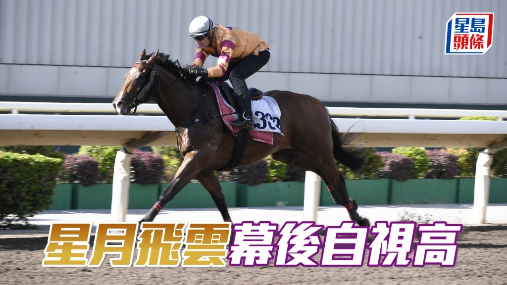 「星月飛雲」今仗排位較外,但若能取得遮擋,鬥衝末段有力一爭。