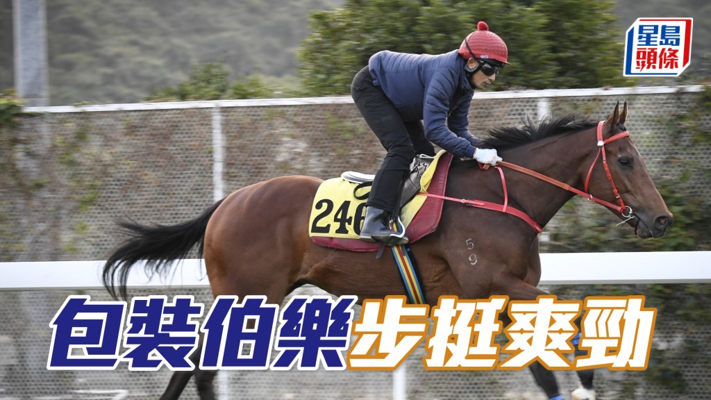 「包裝伯樂」精神奕奕目光銳利，論態極之出色。