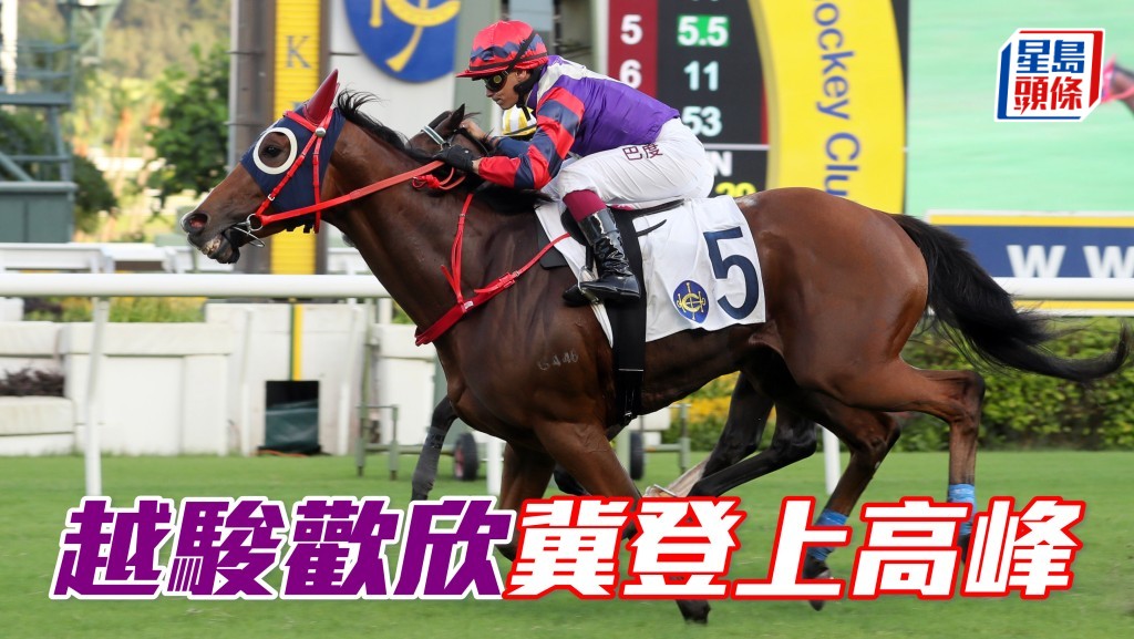 「越骏欢欣」冀凭稳定表现，在浪琴香港一哩锦标登上高峰。