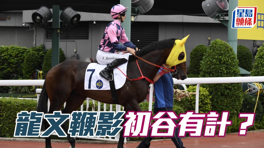 沈集成沙田四甲馬，翌仗初戰谷草如何？今次「龍文鞭影」(圖) 初戰谷草，成績如何？