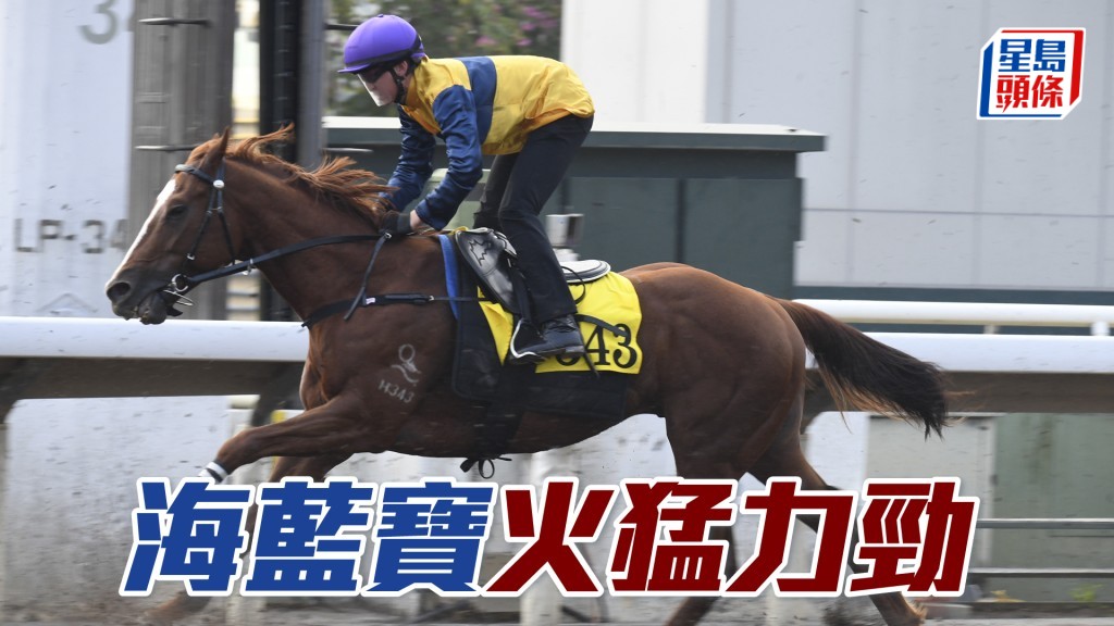 「海藍寶」近日出試時火猛力勁，狀態托弗，譽滿欄邊。