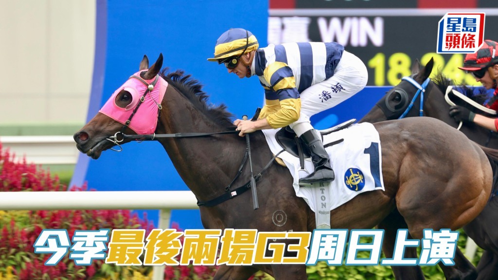 今季最後兩場分級賽以呂健威出馬最多,其中「包裝天將」將出戰1400米草地精英盃。