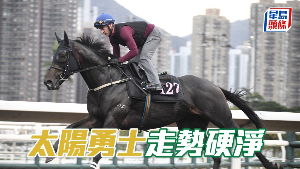 「太陽勇士」扣住神態生猛，打仔馬長期呈勇。