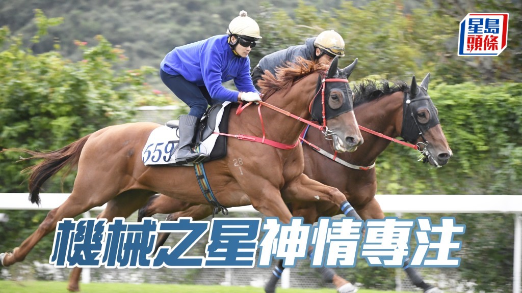 「機械之星」試來不徐不疾，外觀對辦身色皆靚。