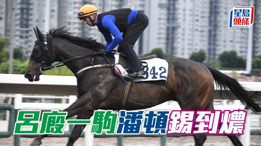 「合夥飛馳」上仗初出已拼獲亞軍,而潘頓更錫到佢燶,不論周一 (圖) 又或今朝出跳皆親身考驗,仲要這兩朝都是佢的首匹出跳馬。