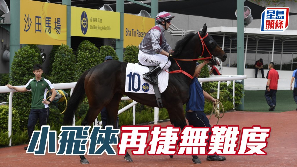 「小飛俠」回師沙田中長途再戰，蔡廄四歲大熟馬只要保持水準，再捷難度不高。