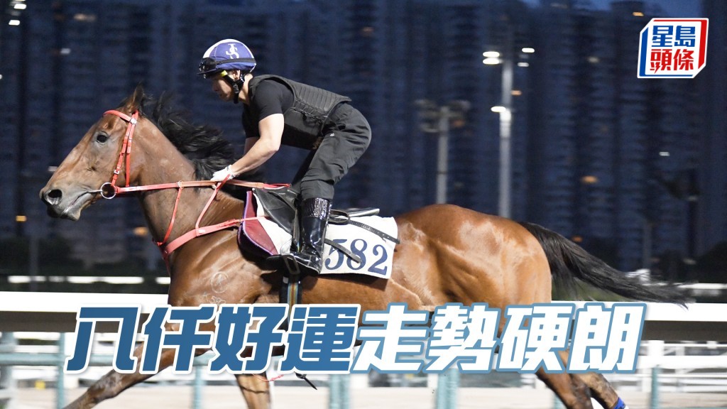 「八仟好運」馬身札實外觀駟正，保持理想進度。
